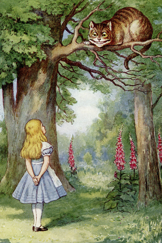 Dott.ssa Anna RossiPsicologa Psicoterapeuta a Reggio Calabria