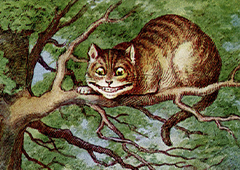 L’allegria dello stregatto