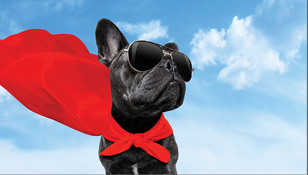 Dott.ssa Anna RossiPsicologa Psicoterapeuta a Reggio Calabria