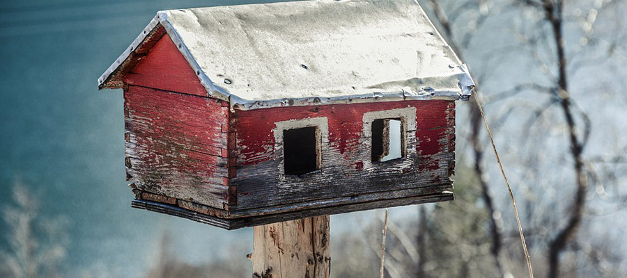 Disturbo post traumatico da stress - Dott.ssa Anna RossiPsicologa Psicoterapeuta a Reggio Calabria