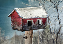 Traumi - psicoterapia Reggio Calabria