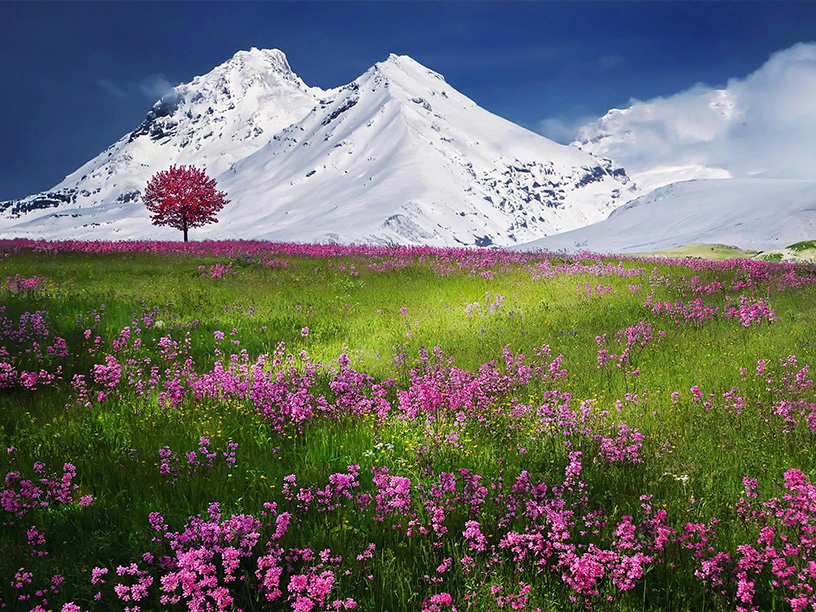 La Teoria Polivagale in psicoterapia